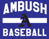 Ambush Baseball 2026 Fan Locker