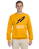 Streetsboro Basketball Crew