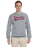 Waterloo Baseball Crew